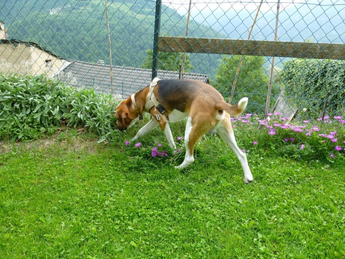 La Buneta Macra Zewnętrze zdjęcie